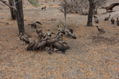 2019-09-Tansania-OK-1443