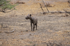 2019-09-Tansania-OK-1460