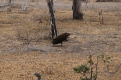 2019-09-Tansania-OK-1498