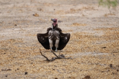 2019-09-Tansania-OK-1502