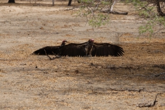 2019-09-Tansania-OK-1507