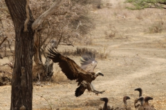 2019-09-Tansania-OK-1521