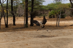 2019-09-Tansania-OK-1541