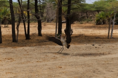 2019-09-Tansania-OK-1543