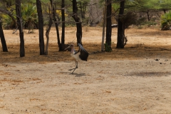 2019-09-Tansania-OK-1545