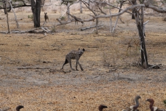 2019-09-Tansania-OK-1578