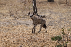 2019-09-Tansania-OK-1582