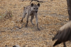 2019-09-Tansania-OK-1585