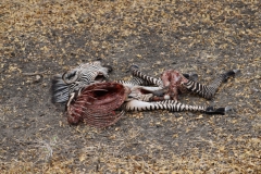 2019-09-Tansania-OK-1588