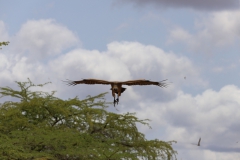 2019-09-Tansania-OK-1594