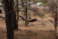 2019-09-Tansania-OK-1616