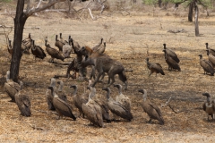 2019-09-Tansania-OK-1636