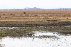 2019-09-Tansania-OK-0208
