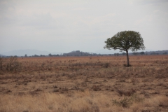 2019-09-Tansania-OK-0402