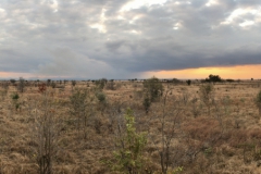 2019-09-Tansania-OK-0699