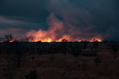 2019-09-Tansania-OK-0714