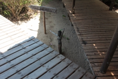 2019-09-Tansania-OK-2488