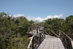 2019-09-Tansania-OK-2489