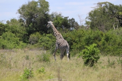 2019-09-Tansania-OK-2500
