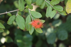 2019-09-Tansania-OK-2504