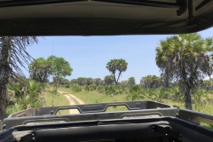 2019-09-Tansania-OK-2505