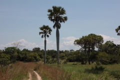 2019-09-Tansania-OK-2516