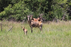 2019-09-Tansania-OK-2521