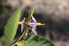 2019-09-Tansania-OK-2531