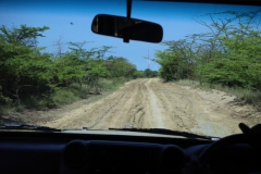 2019-09-Tansania-OK-2549