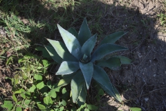 2019-09-Tansania-OK-2550
