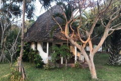 2019-09-Tansania-OK-2194
