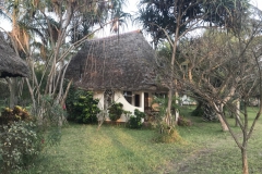 2019-09-Tansania-OK-2195