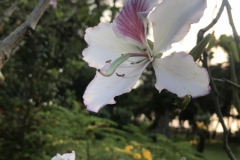 2019-09-Tansania-OK-2198
