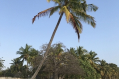 2019-09-Tansania-OK-2205