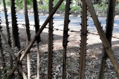 2019-09-Tansania-OK-2216