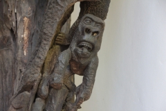 2019-09-Tansania-OK-2217