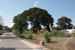 2019-09-Tansania-OK-2224