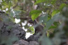 2019-09-Tansania-OK-2233