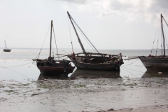 2019-09-Tansania-OK-2243