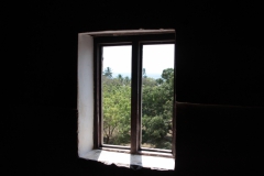 2019-09-Tansania-OK-2278