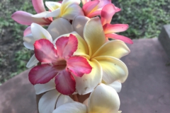 2019-09-Tansania-OK-2454