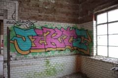 Beelitz-Heilstätten-20190316-0014