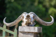 2019-09-Tansania-OK-2888