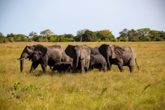 2019-09-Tansania-OK-2893