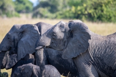 2019-09-Tansania-OK-2894