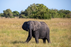 2019-09-Tansania-OK-2896