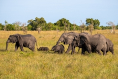 2019-09-Tansania-OK-2898