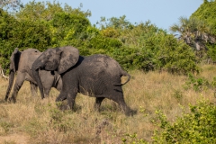 2019-09-Tansania-OK-2901