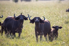 2019-09-Tansania-OK-2903