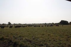 2019-09-Tansania-OK-2906